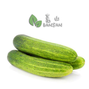 Cucumber 青瓜 (1 Pc) - Bansan Penang