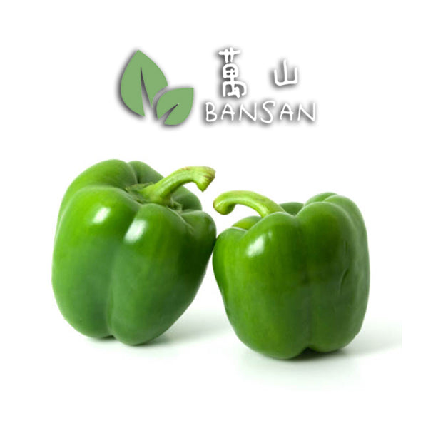 Green Pepper 青灯笼椒 (1 Pcs) - Bansan Penang