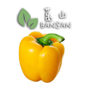 Yellow Pepper 黄灯笼椒 (1 Pcs) - Bansan Penang