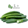Japanese Cucumber 日本青瓜 (±1kg) - Bansan Penang