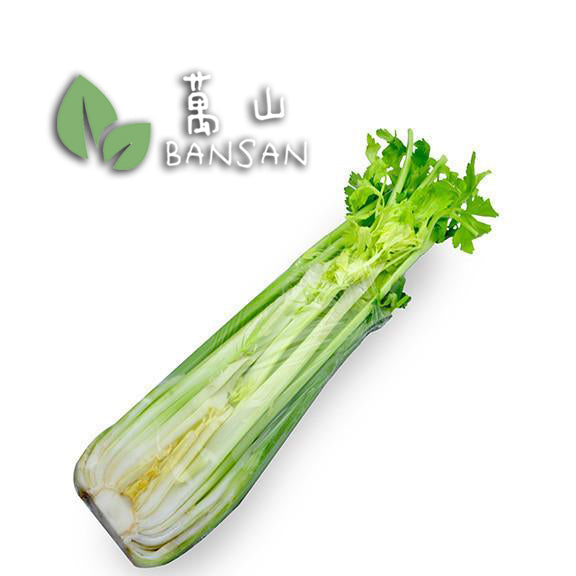 Celery (Australia) 澳洲芹菜 (±1kg ~ 1 Plant) - Bansan Penang