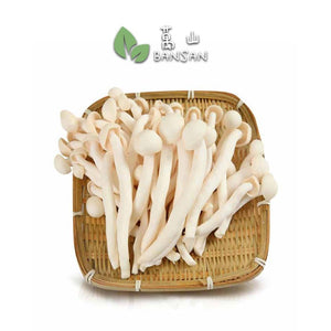 Seafood Mushroom 海鲜菇 (1 Pack) - Bansan Penang