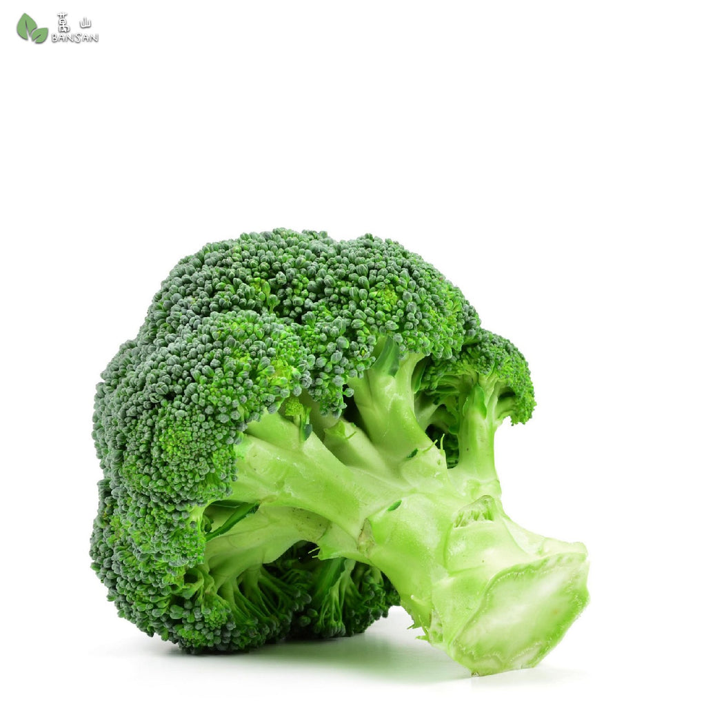 Broccoli (+/- 300g) - Bansan Penang