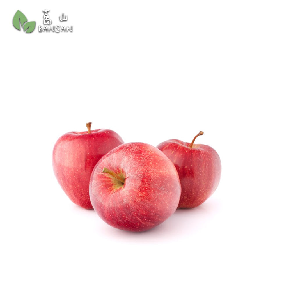 Korean Red Fuji Apple 韩国富士红苹果 (4 pcs) (XL size) - Bansan Penang