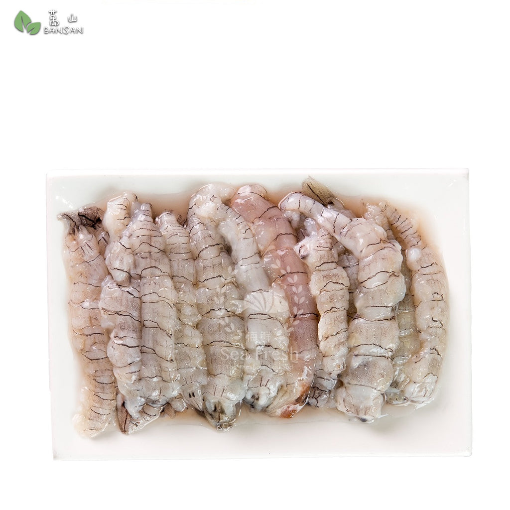 Peeled Fresh Mantis Shrimp / 新鲜虾蛄肉 (+/-1kg) - Bansan Penang