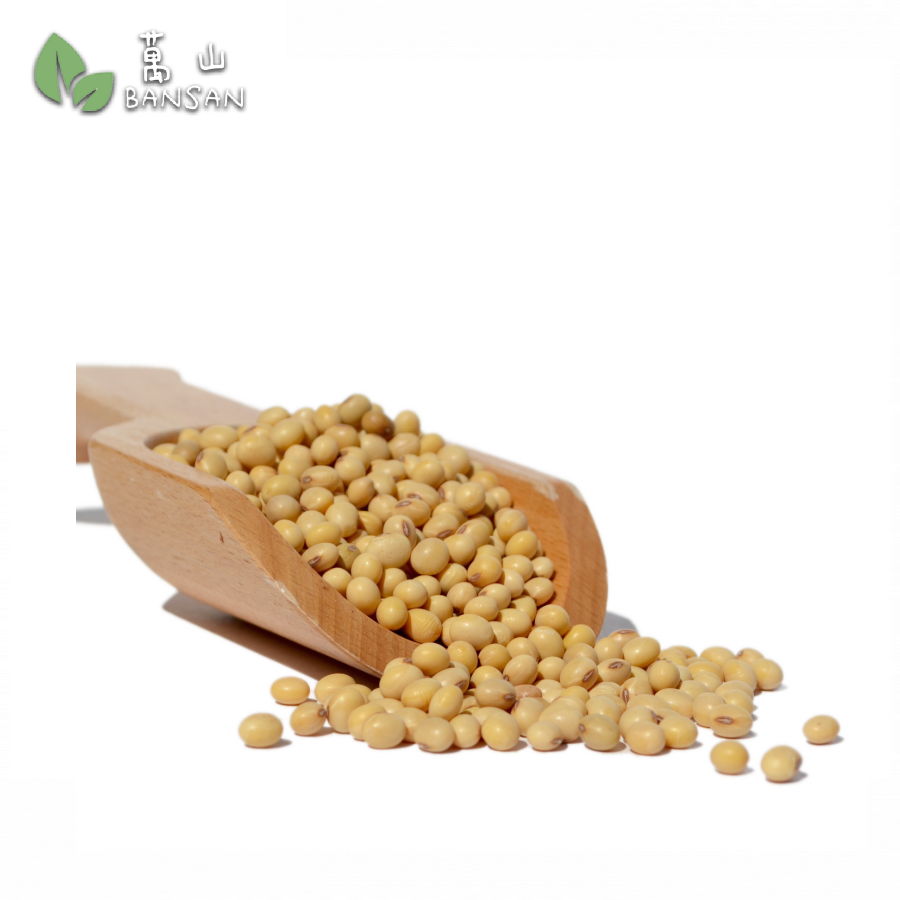 Soya Beans 黄豆 (300g) - Bansan Penang