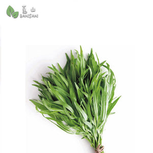 Tarragon 龙蒿 (10g) - Bansan Penang