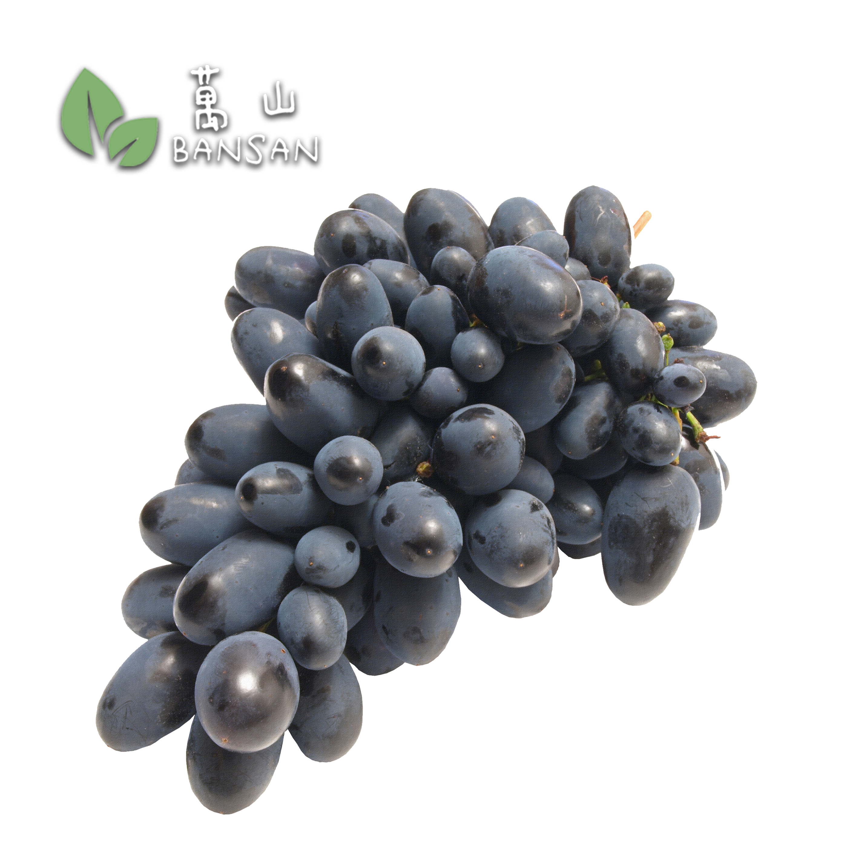 Grapes. Autumn Cripps Black 印度黑葡萄 (±500g) - Bansan Penang