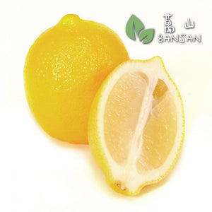 Lemon 柠檬 (1 Pc) - Bansan Penang