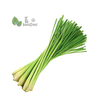 Lemongrass 香茅 (2 Bundles) - Bansan Penang