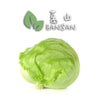 Leaf Lettuce 玻璃生菜 (±500g ~ 1 Pcs) - Bansan Penang