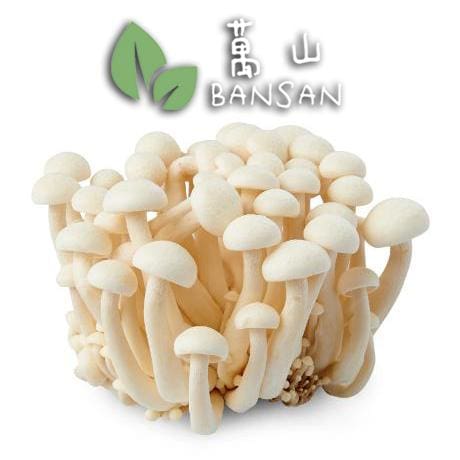 Shimeji Mushroom 白玉菇 (1 Pack) - Bansan Penang