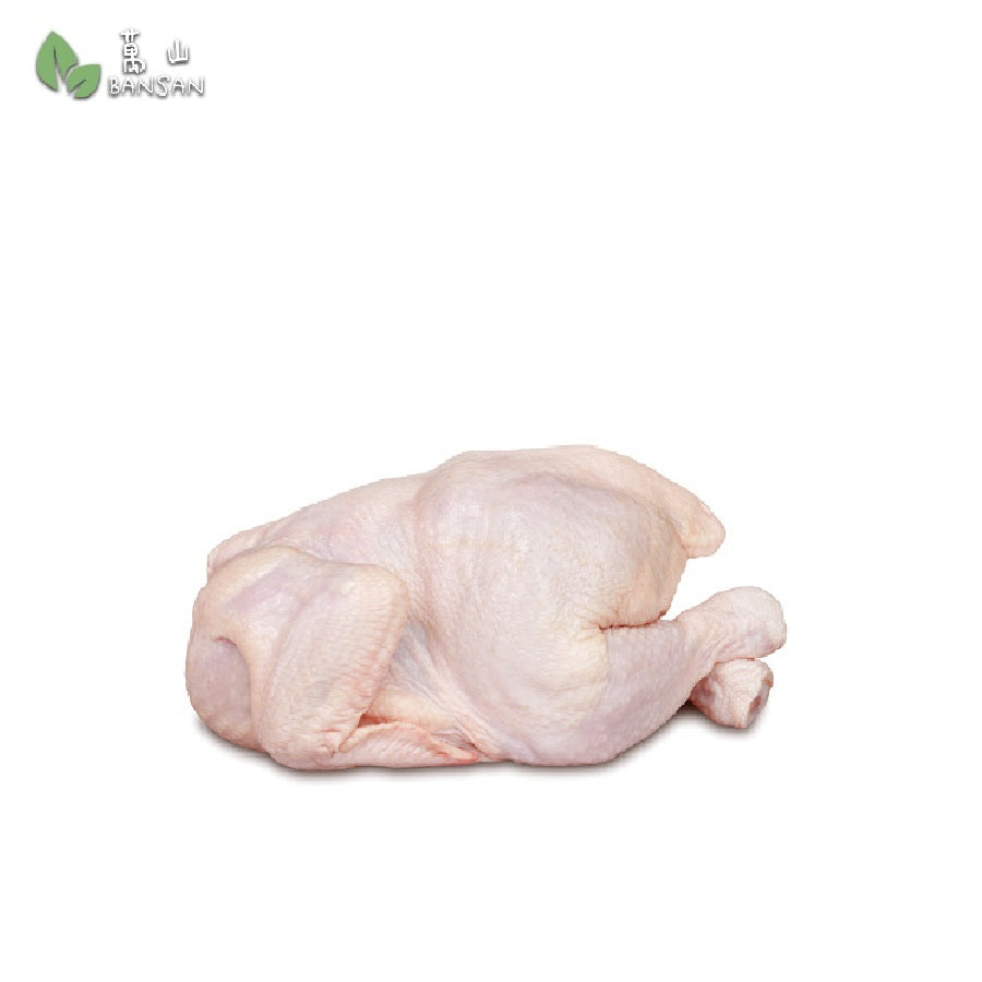 Fresh Whole Chicken 新鲜全鸡 (+/-1.4kg - 1.6kg) - Bansan Penang