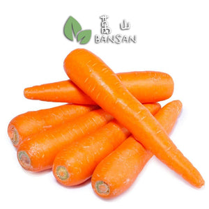 Carrot 红萝卜 (±500g ~ 3-4 Pcs) - Bansan Penang