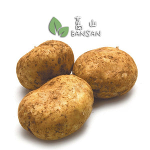 Potato 马铃薯 (±500g) - Bansan Penang