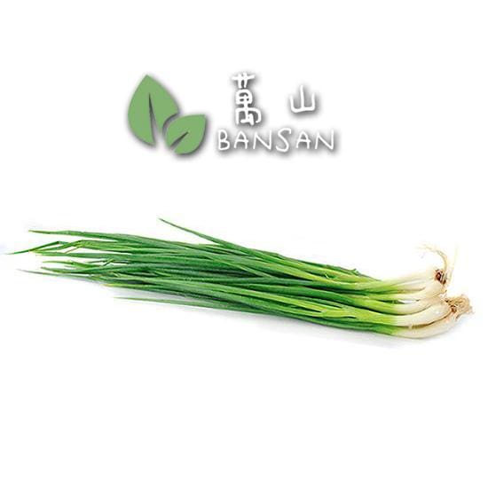 Spring Onion 青葱 (±100g) | Bansan Penang
