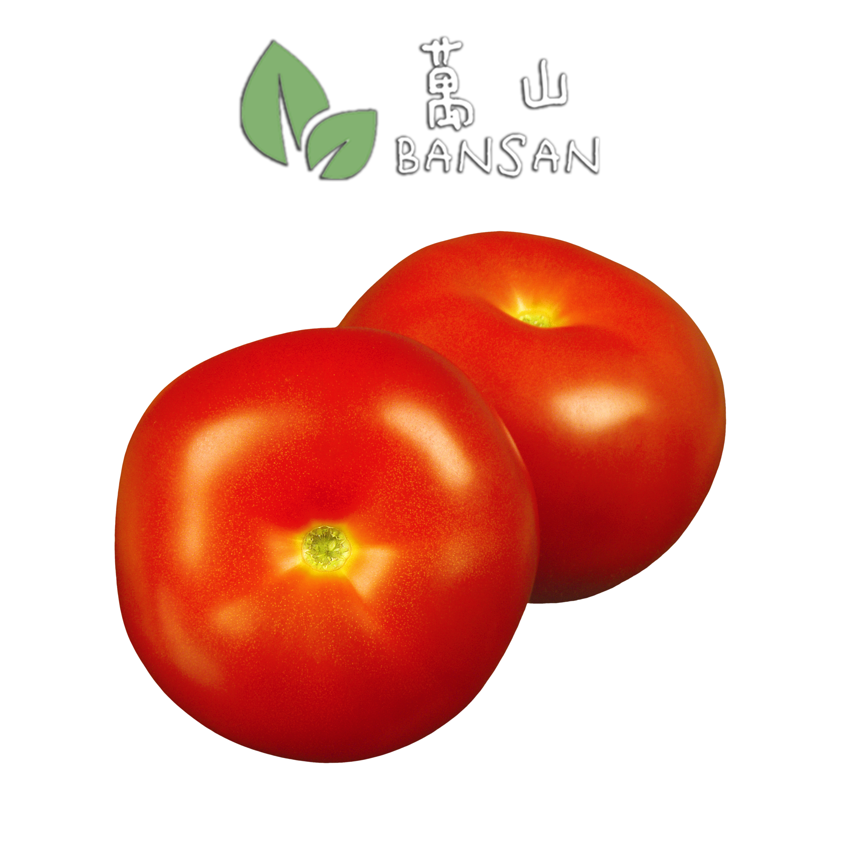 Tomato  (±500g ~ 4-6 Pcs) - Bansan Penang