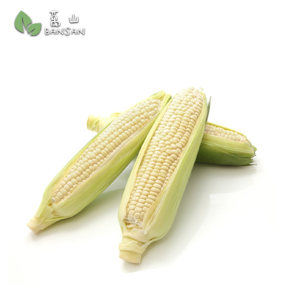 Milky Corn (1 pcs) - Bansan Penang